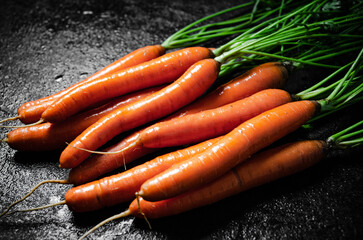 Fresh bunch of carrots .