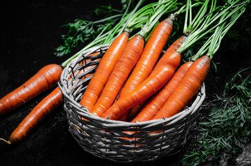 Fresh carrots in old box.