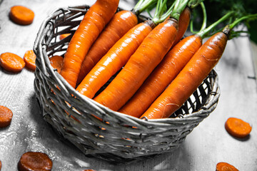 Fresh carrots in basket.