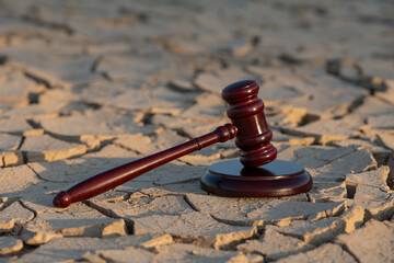 A judge's gavel on heat-cracked clay in the desert