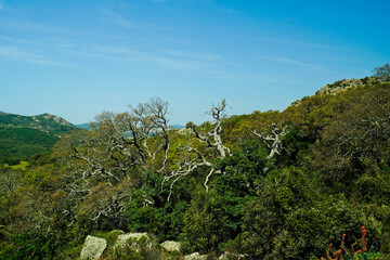 Tipico panorama dell'entroterra sardo. Sardegna, Italia