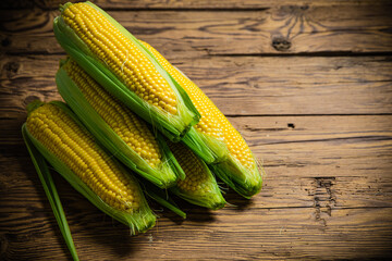 Fresh corn on wooden table.