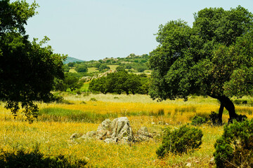 Tipico panorama dell'entroterra sardo. Sardegna, Italia