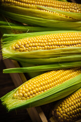 Fresh corn on wooden table.