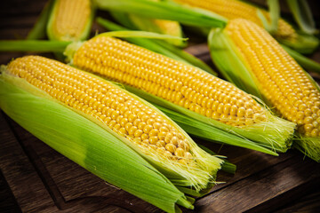 Fresh corn on wooden table.