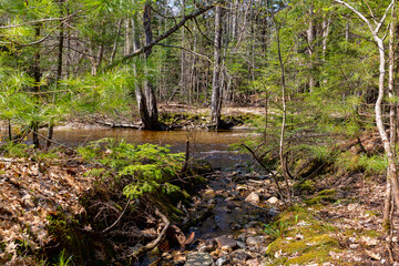 Water runoff flowing into a stream in the spring in Maine.