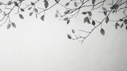An abstract background created by the gray shadows of natural tree leaves and branches falling on a white wall, ideal for backgrounds and wallpapers. This black and white composition forms a unique - obrazy, fototapety, plakaty