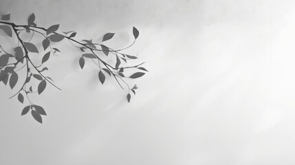 An abstract background created by the gray shadows of natural tree leaves and branches falling on a white wall, ideal for backgrounds and wallpapers. This black and white composition forms a unique