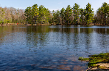 Quiet shoreline of Pitcher Pond in Maine in the springtime.