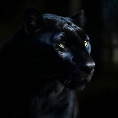 Poster Beautiful black panther portrait in the dark- close-up © Wazir Design