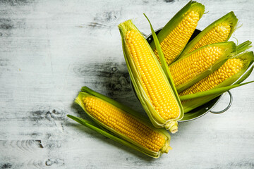 Fresh corn on light table.