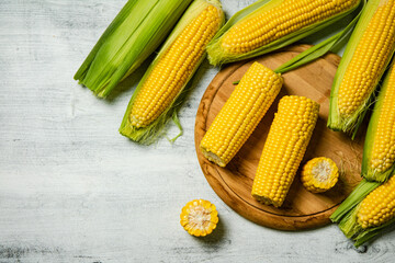 Fresh corn on light table.