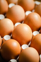 Fresh eggs in cassette.