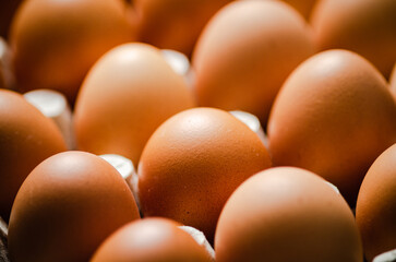 Fresh eggs in cassette.