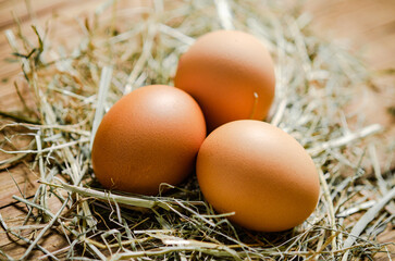 Chicken eggs on wooden table.