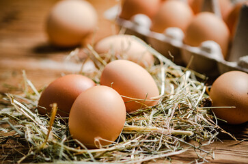 Chicken eggs on wooden table.