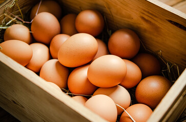 Fresh chicken eggs in old box.