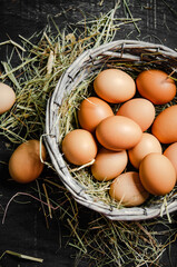 Fresh chicken eggs in basket.
