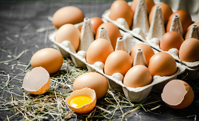 Fresh chicken eggs on dark background.