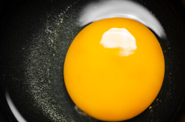Chicken yolk from an egg in cup.
