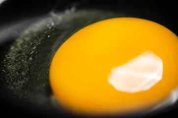 Chicken yolk from an egg in cup.