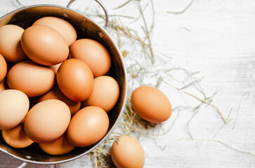 Fresh chicken eggs in bucket.