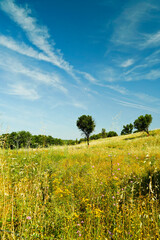 Fototapeta premium Tipico panorama dell'entroterra sardo. Sardegna, Italia