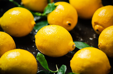 Fresh lemons. On black table.