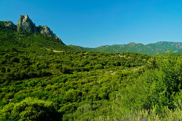 Fototapeta na wymiar Tipico panorama dell'entroterra sardo. Sardegna, Italia