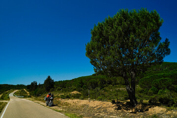 Tipico panorama dell'entroterra sardo. Sardegna, Italia