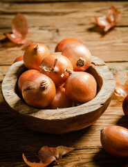 Fresh onions . On table.