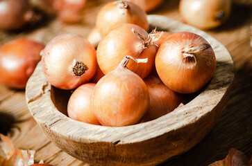 Fresh onions . On table.