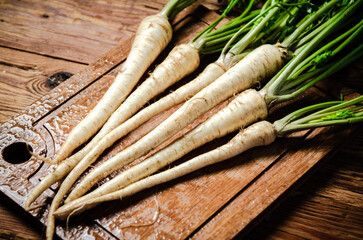 Fresh parsley root .