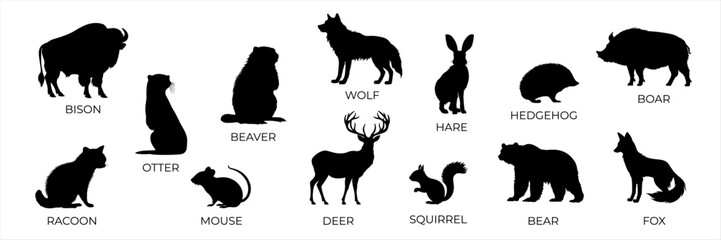 Set of forest animals black silhouette. Flat vector illustration isolated on a white background. Bear, wolf, fox, mouse, otter, squirrel, boar, deer, racoon, hadgehog, bison, beaver