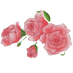 group of roses