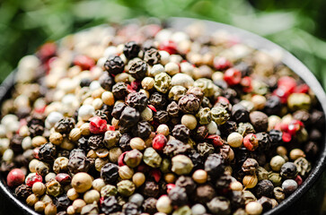 Peppercorn on rustic background.