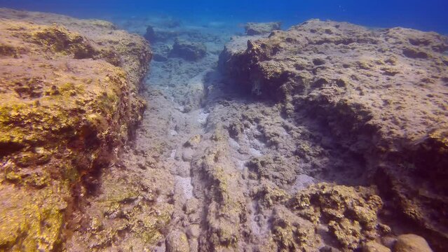 Underwater relief of rock plates at sea bottom on Mediterranean Sea, Slow motion. Underwater seascape with cracks on rocky seabed, Camera moving forwards