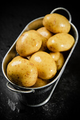 Fresh potatoes. On black background.
