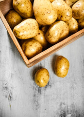 Fresh potatoes. On white table.