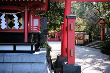 Tuinposter 枚聞神社の参道 © v_0_0_v