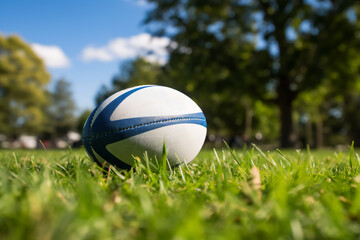 Rugby ball on the field, green grass, natural light