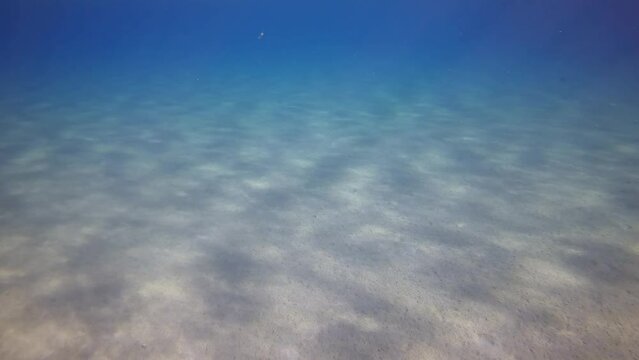 Sun glare on sandy seabed, camera moving forwards over sand bottom on blue water background, Slow motion. Natural underwater background with sun glare on sand seafloor