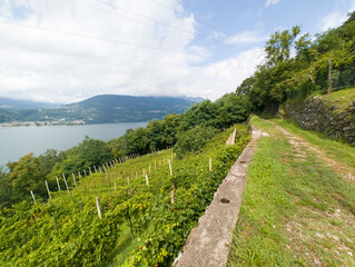 Fototapeta na wymiar view of Lake Caldonazzo north of Italy.