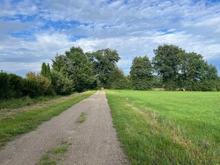 Empty tractor way in the green field, fields landscapes