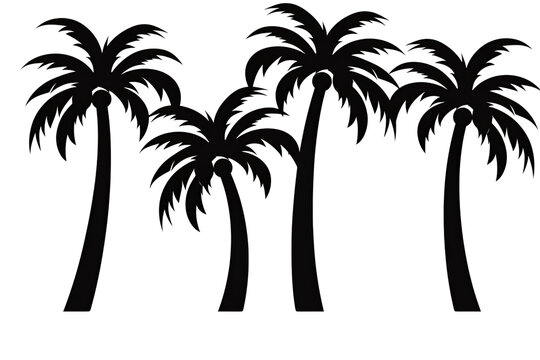 Set / Collection of beach palm trees silhouette isolated on transparent background cutout PNG