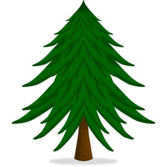 Christmas tree isolated on white background.