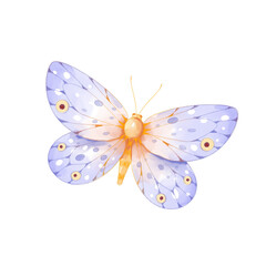 watercolor butterfly png transparent background.