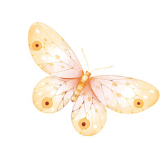 watercolor butterfly png transparent background.