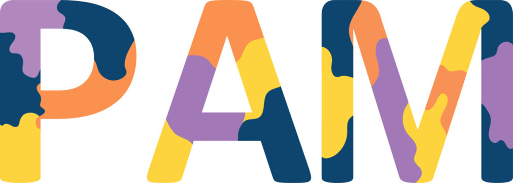 Pam Colorful 3d Abstract Text name