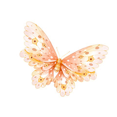 watercolor butterfly png transparent background.
